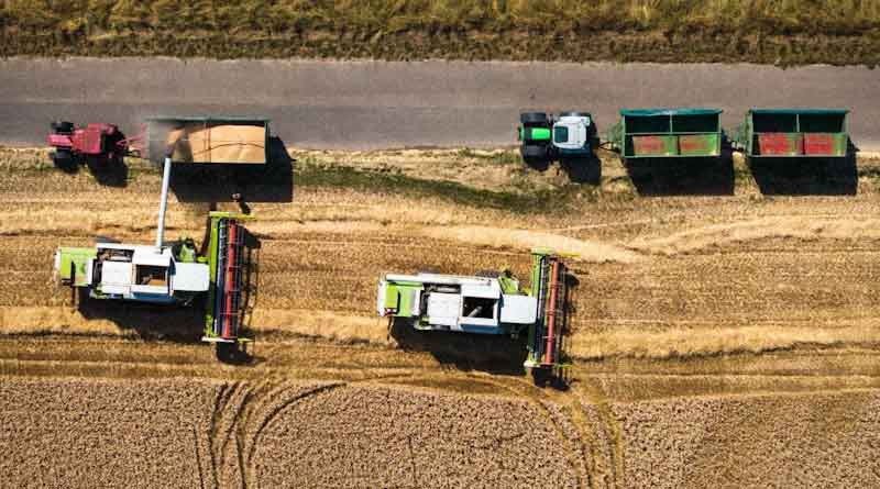 U.S. Soybean Crush Hits Record High as Biofuel Demand Grows, Exports Decline