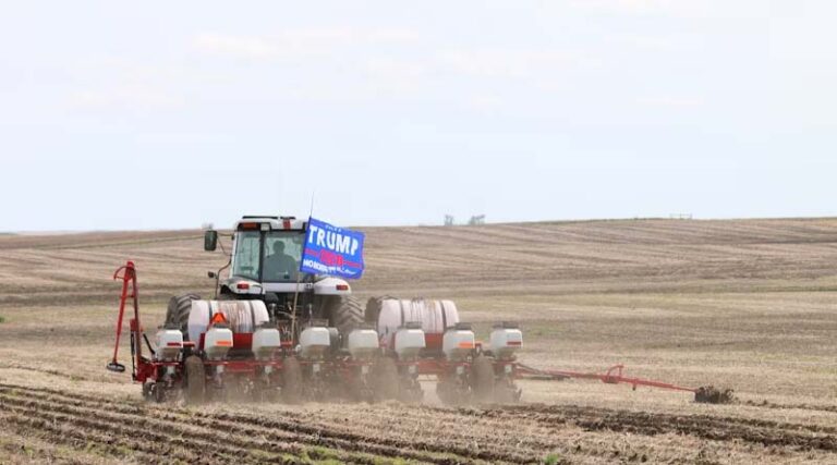 U.S. Farmers Are Rapidly Adopting GE Crops – Here’s What the 2024 Data Reveals