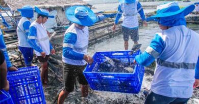 Aquaculture in Focus: Aboitiz Foods Expands Agriconnect Across Asia