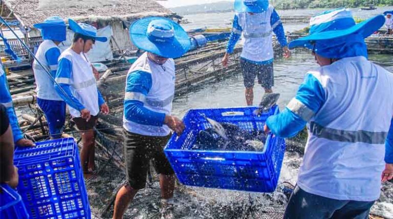 Aquaculture in Focus: Aboitiz Foods Expands Agriconnect Across Asia
