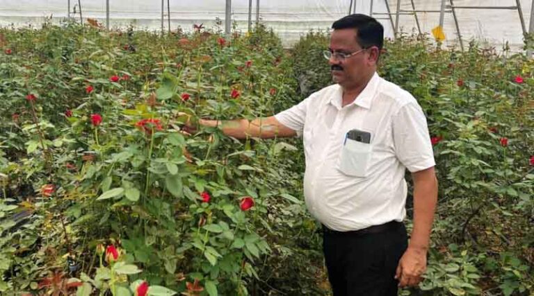 From Paddy to Petals: Chhattisgarh Farmer Earns ₹1 Million Annually by Cultivating Roses