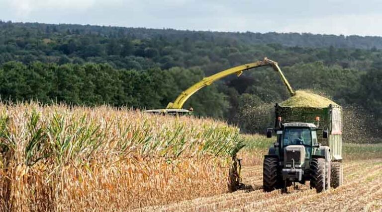 Biopesticide Registration in Brazil: Companies, Active Ingredients and Time