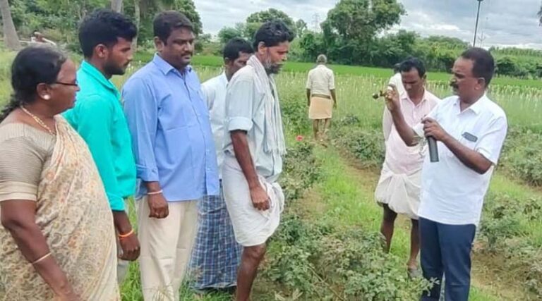 How CABI Academy Is Supporting Agricultural Advisor Training In India