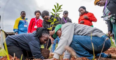 Tree Growing And Agroforestry Training Boost Restoration Efforts In Kenya