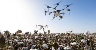 USA EPA Proposes Re-Approval of Drift-Prone Dicamba Herbicide Despite Legal Setbacks