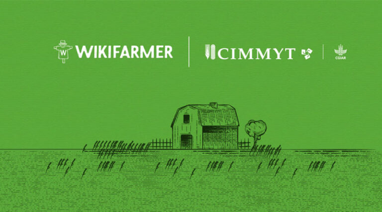 CIMMYT And Wikifarmer Partner To Transform Agriculture And Empower Youth