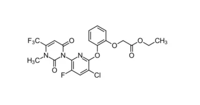 ISO Grants Provisional Approval to BASF’s New Herbicide Name ‘Fendioxypyracil’