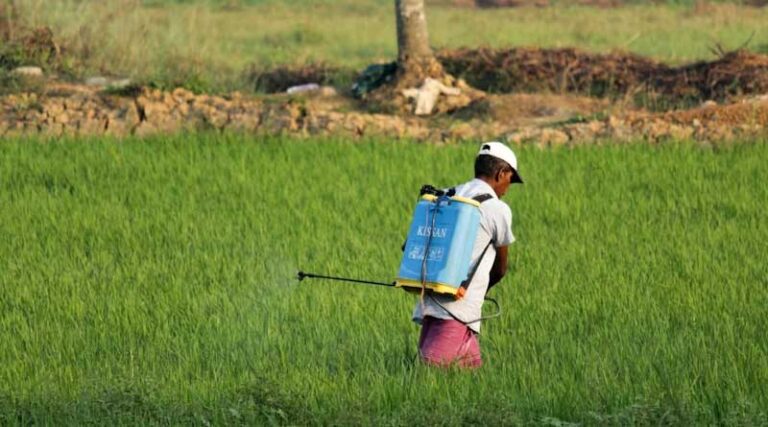 Government of Madhya Pradesh Issues Advisory on Pest and Weed Management for Soybean and Maize Crops
