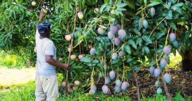 “Land is Life”: Farmers Join Scientists On Newly Launched Ethics Review Committee at CABI in Africa