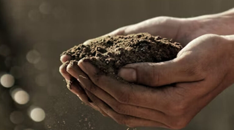 Save Soil Campaign: Visionary Awareness or Vanishing Act? A Closer Look at Sadhguru’s Global Movement