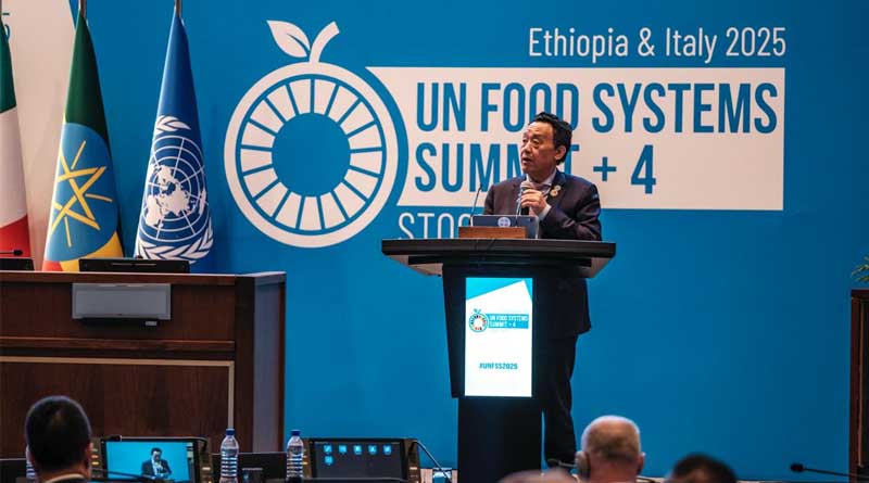 FAO at UNFSS+4: Time To Accelerate The Agrifood Systems Transformation