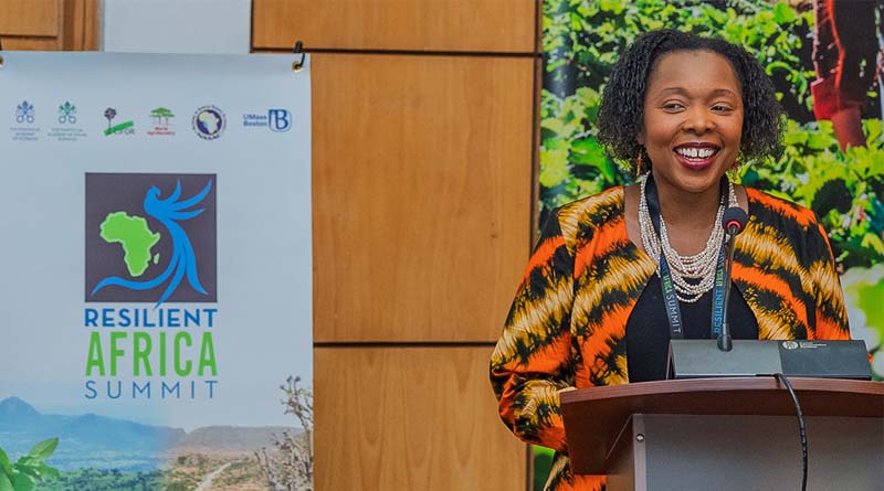 Experts Call For Increased Climate Finance To Power Locally Led Adaptation Initiatives