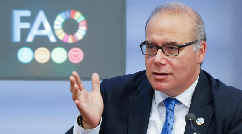 About 2.3 Billion People – 28 Percent of the Global Population Faced Moderate to Severe Food Insecurity in 2024