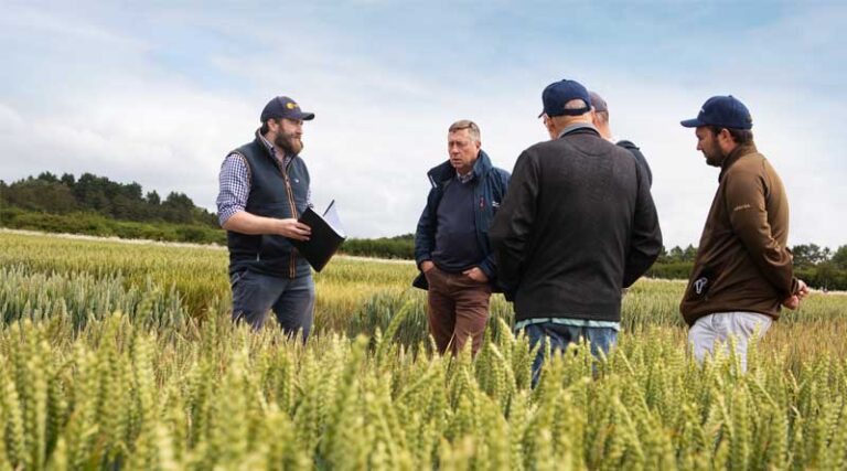 Agrovista Launches Establishment Plus Cereal Seed
