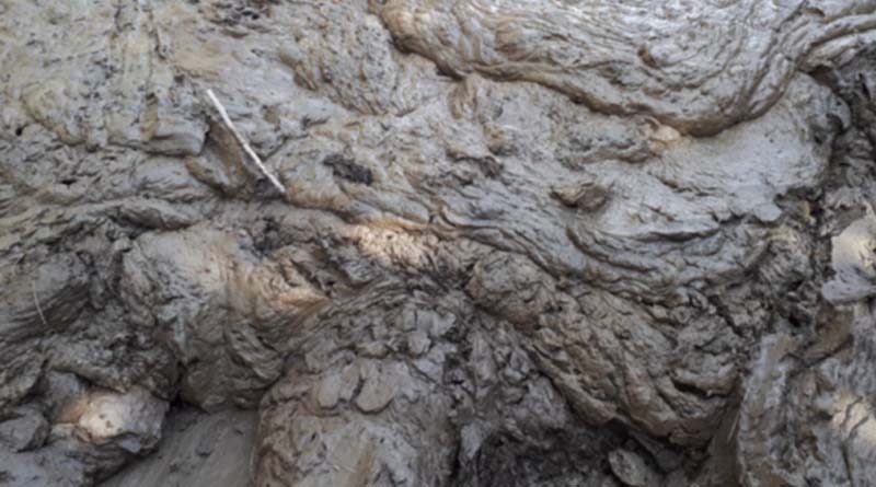 Important Food Safety Guidance For Nelson/tasman Growers