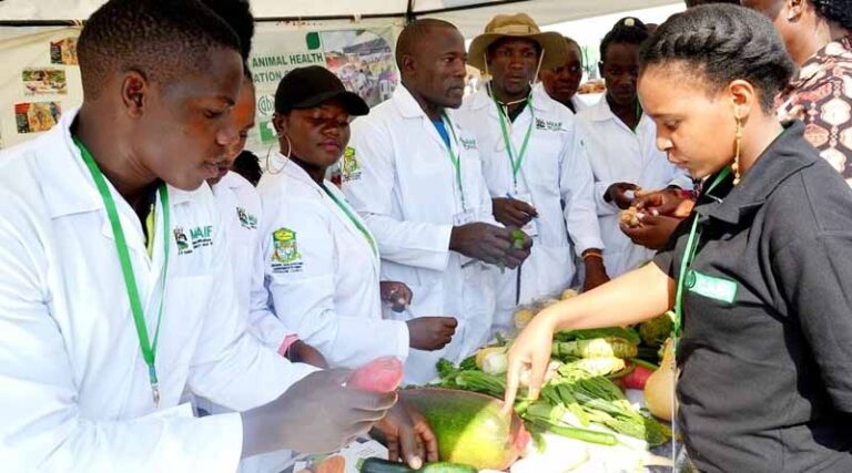 Empowering A Continent: How Youth And Cooperatives Are Revolutionizing Agriculture In East Africa