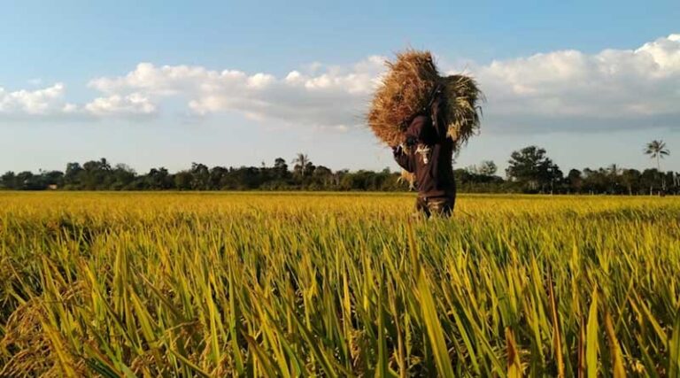 U.S. Tariffs on India: Agricultural and Processed Food Exports Worth Over $5.8 Billion at Risk