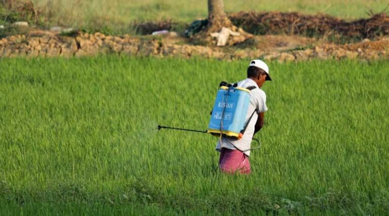Stockpile of Fake Agri Inputs Seized: 468 Quintals of Substandard Biostimulants Confiscated, Several Warehouses Sealed