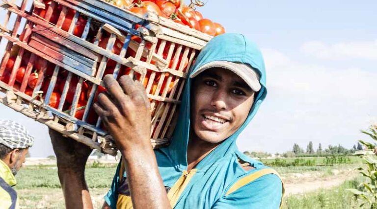 The Status of Youth in Agrifood Systems