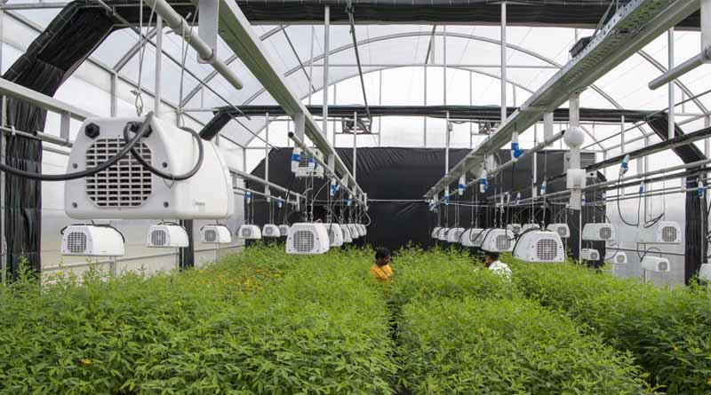 ICRISAT to Deliver World-Class Services as CGIAR’s Breeding Resources South Asia Hub