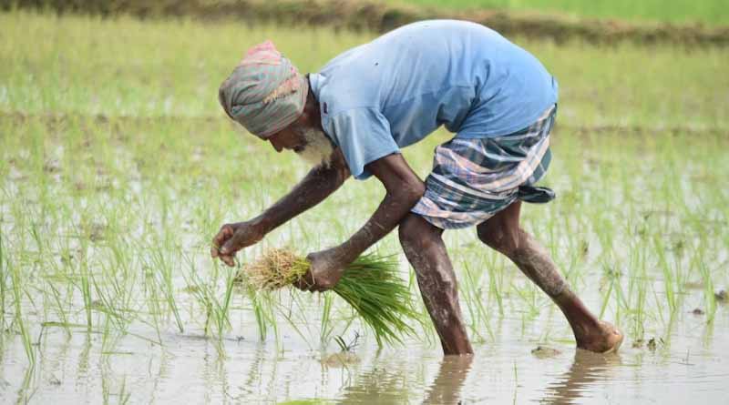 Chhattisgarh Government Takes Major Step: NPK and SSP Fertilisers to Offset DAP Shortfall; Fertiliser Distribution Target Raised to 1.718 Million Tonnes