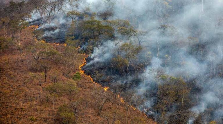 FAO Welcomes Canada’s Pledge Of Nearly $10 Million To Global Fire Management Hub