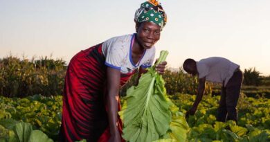 2025 Climate Guide for Farmers in Nigeria Officially Released