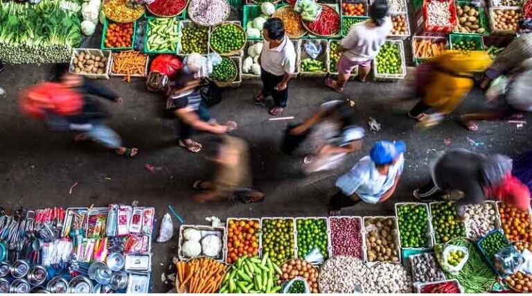 Call to Action: Crop Diversity Drives Global Security