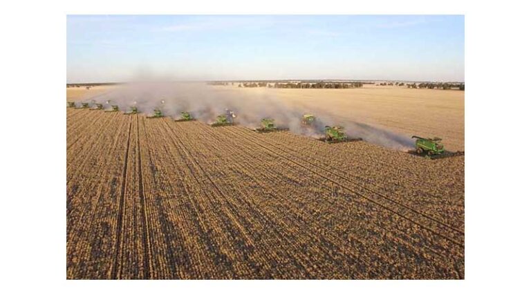 Buckingbong Aggregation: A Rare Offering In The Riverina Region