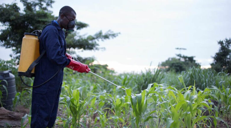 Post-Registration Pesticide Reviews: Experiences, Learnings And Best Practices