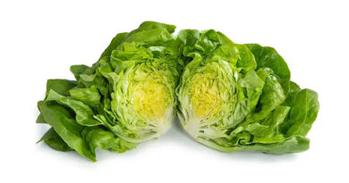 Smart Organic Choices For Southern European Conditions