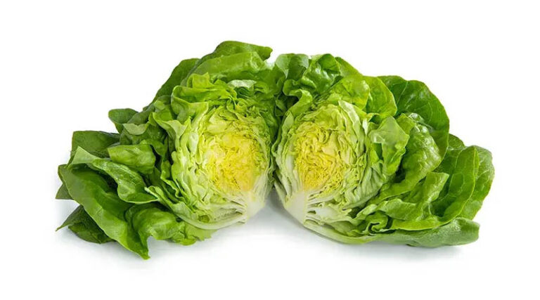 Smart Organic Choices For Southern European Conditions