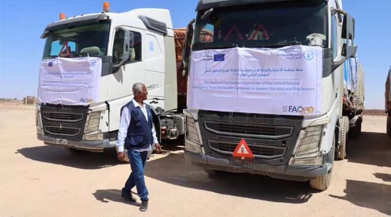 Sudan: FAO Scales Up Emergency Response With Seed Distribution Campaign Targeting 7.5 Million People