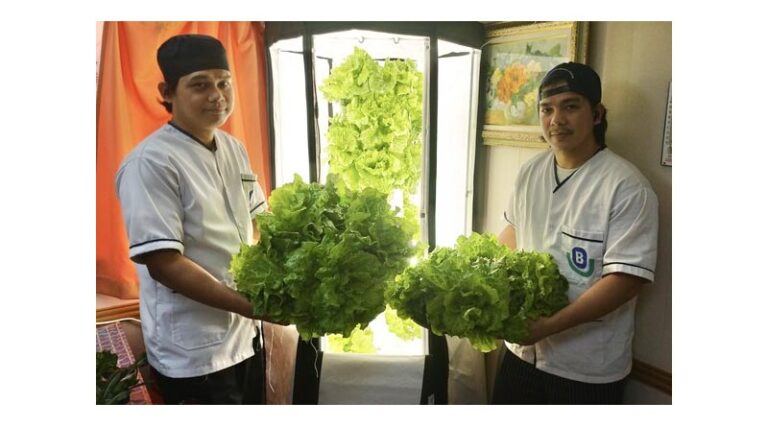 Berge Bulk Harvests One Metric Tonne of Fresh Produce at Sea