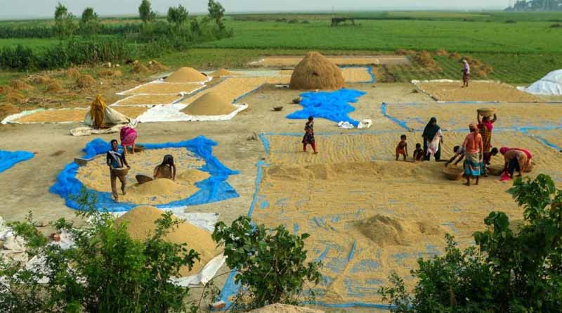 IRRI Drives Efforts to Scale up Agricultural Innovations in Bangladesh