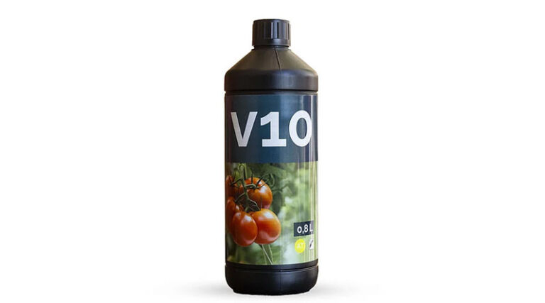 V10 by Koppert: Biovirucide Solution for Complete Protection of Tomato Crops Against Pepino Mosaic Virus