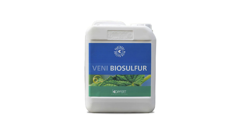 Veni Biosulfur by Koppert: Liquid Biofertilizer to Prevent and Cure Sulphur Deficiency in Crops