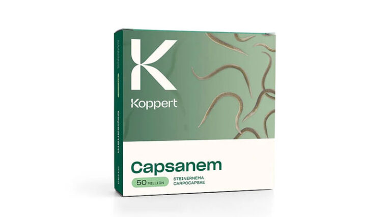 Capsanem by Koppert: Beneficial Nematodes for Broad-Spectrum Insect Pest Control in Protected and Outdoor Crops