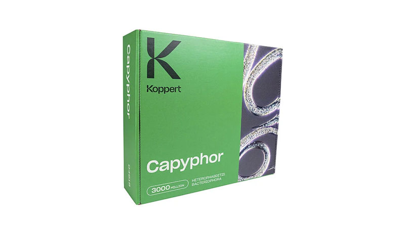 Capyphor by Koppert: Beneficial Nematodes for Effective Control of Weevils and Beetles in Crops