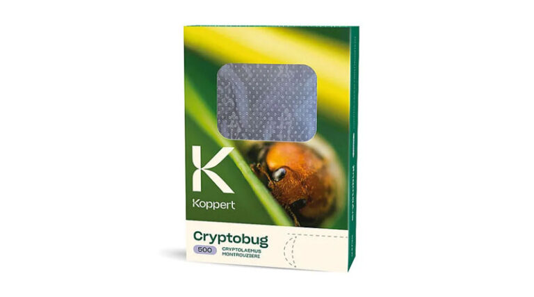 Cryptobug by Koppert: Predatory Beetles for Comprehensive Mealybug Control