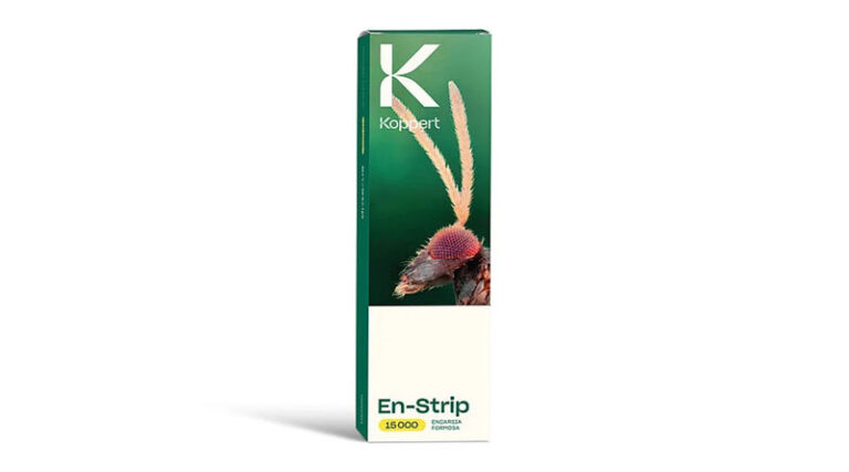 En-Strip by Koppert: Parasitic Wasps for Effective Control of Greenhouse Whitefly