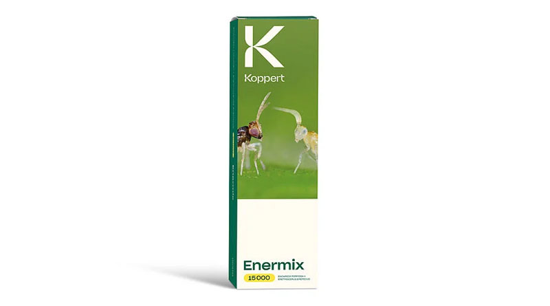 Enermix by Koppert: Parasitic Wasps for Flexible Control of Greenhouse and Tobacco Whiteflies