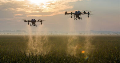 China Tightens Pesticide Label Regulations Ahead of 2026 Implementation