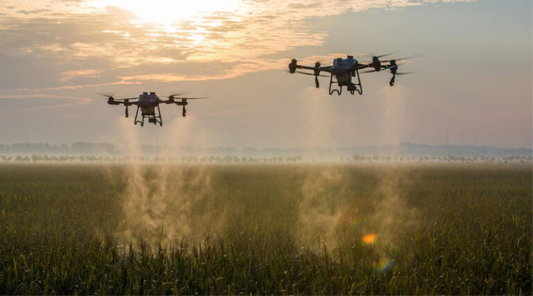 China Tightens Pesticide Label Regulations Ahead of 2026 Implementation
