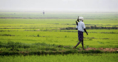 7.5 Lakh Farmers Practicing Organic Farming in Madhya Pradesh: Agriculture Minister Kanshana