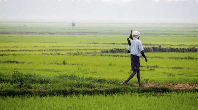 7.5 Lakh Farmers Practicing Organic Farming in Madhya Pradesh: Agriculture Minister Kanshana
