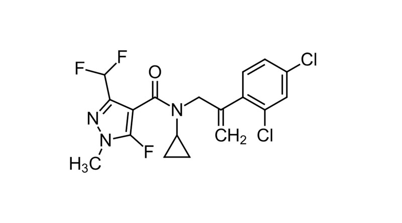Enprocymid Provisionally Approved as ISO Common Name for Fungicide