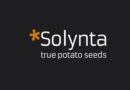 Dutch Biotech Solynta Gets €20 Million from European Investment Bank for Disease Resistant Potato Varieties