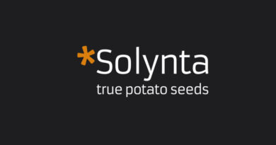Dutch Biotech Solynta Gets €20 Million from European Investment Bank for Disease Resistant Potato Varieties