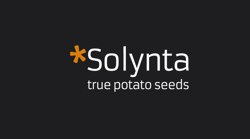 Dutch Biotech Solynta Gets €20 Million from European Investment Bank for Disease Resistant Potato Varieties